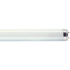 Osram žárovka L 30 W/840