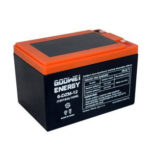 Trakční (GEL) baterie GOOWEI ENERGY 6-DZM-12 15Ah 12V