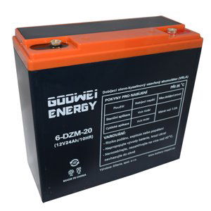 GOOWEI ENERGY 6-DZM-20 12V 24Ah