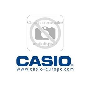 CASIO AD S42120AE K DT X/IT 5; 10000586