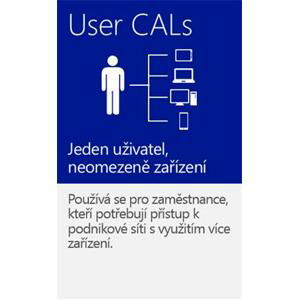 MS OEM Windows Server CAL 2019 EN 1pk 1 User CAL; R18-05848