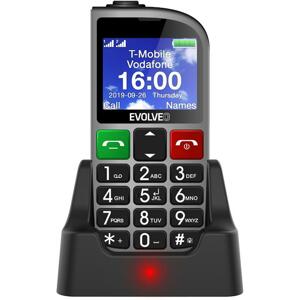 Evolveo EasyPhone FM, stříbrný; EP-800-FMS