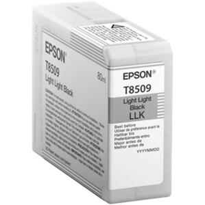 Epson C13T850900 originální; C13T850900