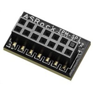 ASRock TPM-SPI; TPM-SPI