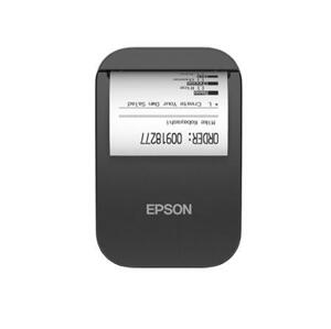 Epson TM-P20II (101); C31CJ99101