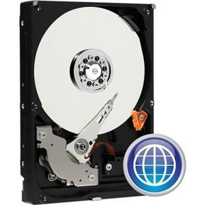 Western Digital Caviar Blue 1TB; WD10EZEX