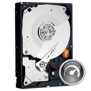 Western Digital Caviar Black 500GB; WD5003AZEX