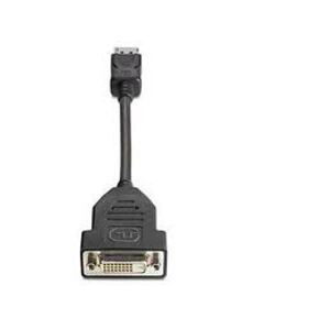 HP DisplayPort To DVI-D Adapter; FH973AA