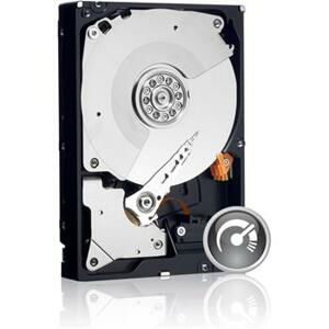 WD Black 1TB; WD1003FZEX