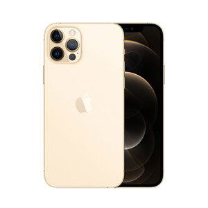 iPhone 12 Pro Max 128GB (Stav A-) Zlatá