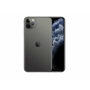 Apple iPhone 11 Pro Max 256GB Vesmírně Šedý (Stav A)