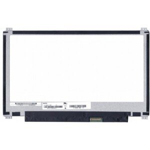 Displej na notebook Asus VivoBook E12 Display 11,6“ LED 30pin eDP - Matný