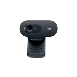 webcam Logitech HD Webcam C505 _