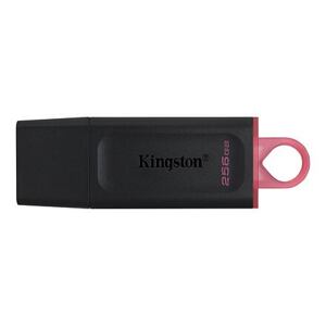 Kingston DataTraveler Exodia/256GB/USB 3.2/USB-A/Růžová DTX/256GB