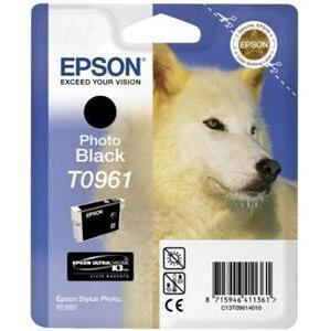 EPSON SP R2880 Photo Black (T0961)