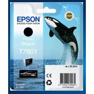 Epson T7601 Ink Cartridge Photo Black C13T76014010