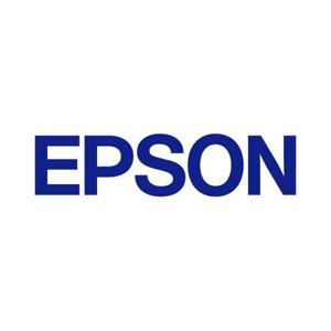 EPSON Ink Cartridge for Discproducer, LightMagenta C13S020690