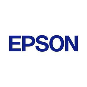 EPSON Ink Cartridge for Discproducer, Light Cyan C13S020689