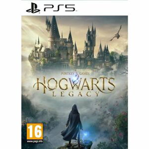 Hogwarts Legacy (PS5)