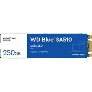 WD Blue SA510 M.2 250GB