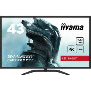 iiyama G-Master G4380UHSU-B1 monitor 42,5"