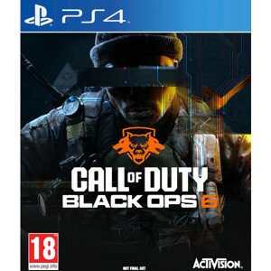 Call of Duty Black Ops 6 (PS4)