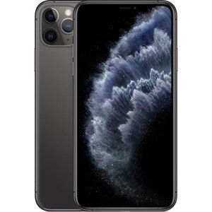 Apple iPhone 11 Pro Max 512GB vesmírně šedý