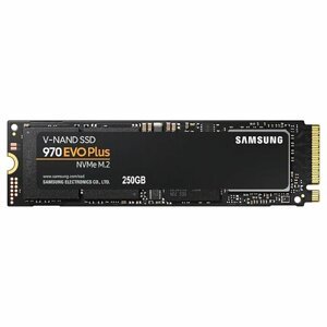 Samsung SSD 970 EVO Plus, 250GB, NVMe M.2