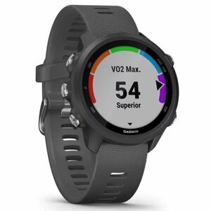 Garmin Forerunner 245, Slate