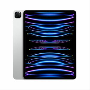 Apple iPad Pro 11" (2022) Wi-Fi + Celluar 256 GB, silver