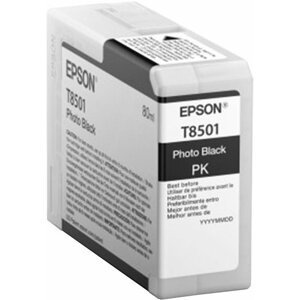 Epson T850100, (80ml), photo black - C13T850100