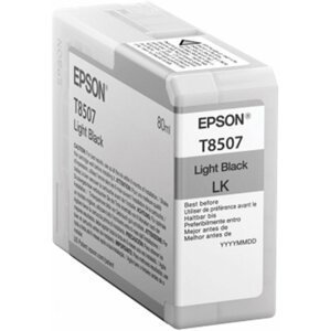 Epson T850700, (80ml), light black - C13T850700