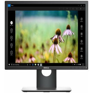 Dell Professional P1917S - LED monitor 19" - 210-AJBG