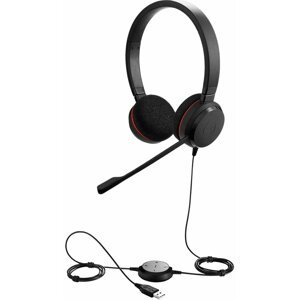 Jabra Evolve 20 Stereo (consumer) - 100-55900000-99