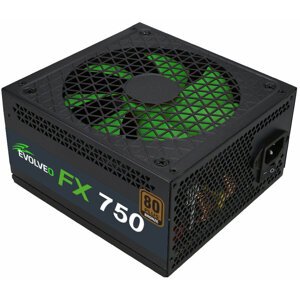 Evolveo FX 750 - 750W, bulk - FX750