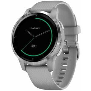 Garmin Vívoactive 4S Silver/Gray Band - 010-02172-03