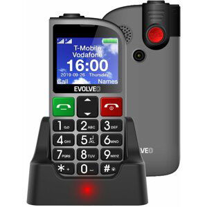 Evolveo EasyPhone FM SGM EP-800-FMS, Silver - SGM EP-800-FMS