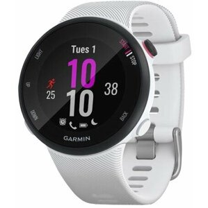 Garmin Forerunner 45S Optic White - 010-02156-10