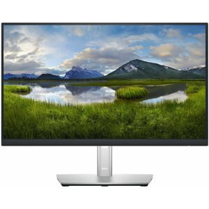 Dell Professional P2222H - LED monitor 22" - 210-BBBE