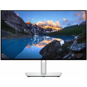 Dell UltraSharp U2422HE - LED monitor 23,8" - 210-AYUL