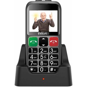 Evolveo EasyPhone EB, Silver - SGM EP-850-EBS