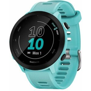 Garmin Forerunner 55 Blue - 010-02562-12