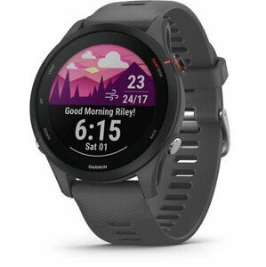 Garmin Forerunner 255, Slate Gray - 010-02641-10