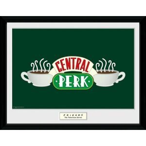 Obraz Friends - Central Perk, zarámovaný (30x40) - PFC1378