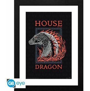 Obraz House of the Dragon - Red Dragon, zarámovaný (30x40) - GBYDCO183