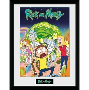 Obraz Rick and Morty - Compilation, zarámovaný (30x40) - PFC2160